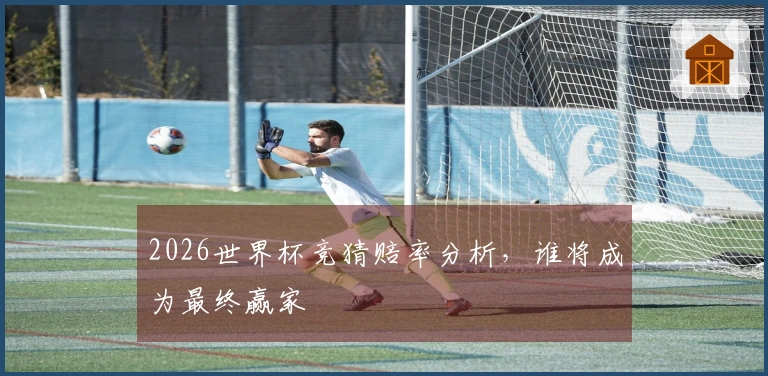 2026世界杯竞猜赔率分析，谁将成为最终赢家