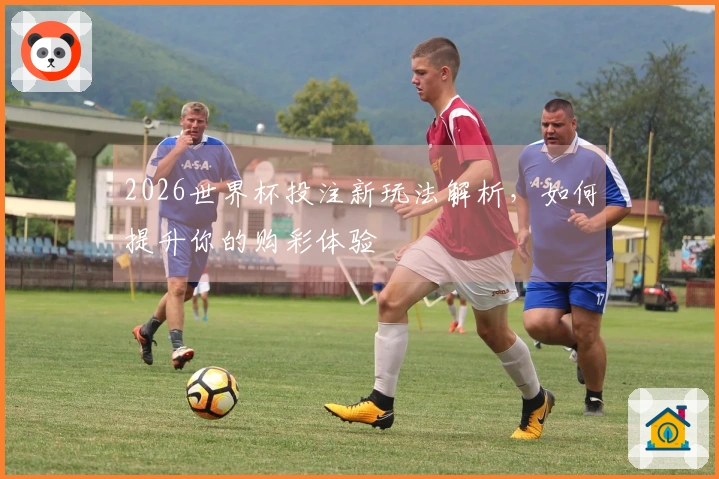 2026世界杯投注新玩法解析，如何提升你的购彩体验