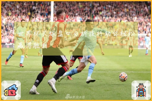 世界杯买球盘口分析技巧助你轻松赢得胜利