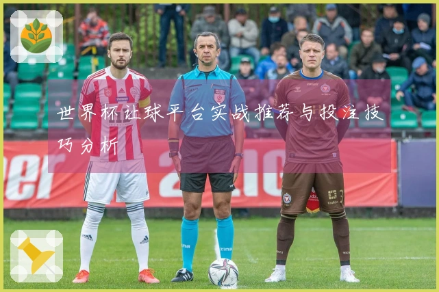 世界杯让球平台实战推荐与投注技巧分析